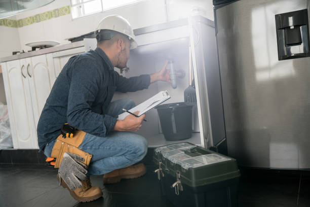 Best Affordable Plumbing Services  in Palmview South, TX