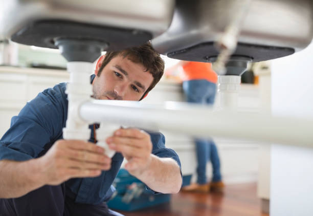 Best Affordable Plumber Near Me  in Palmview South, TX