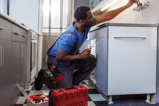 Best Faucet Repair  in Palmview South, TX